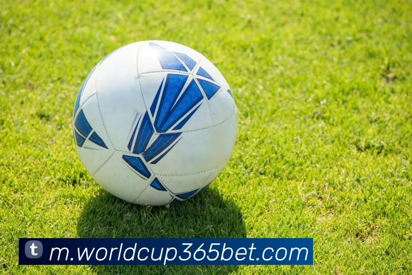 世界杯投注平台生态图