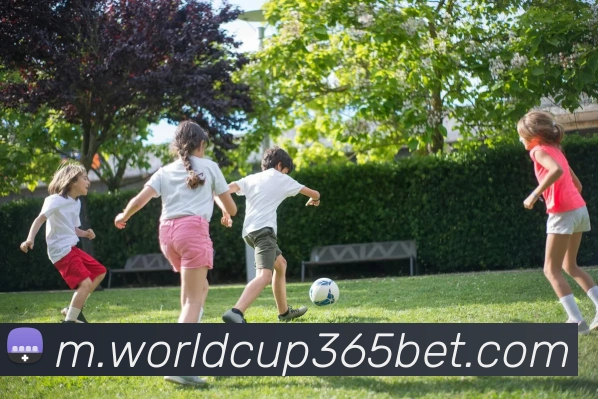 世界杯投注APP 封面图